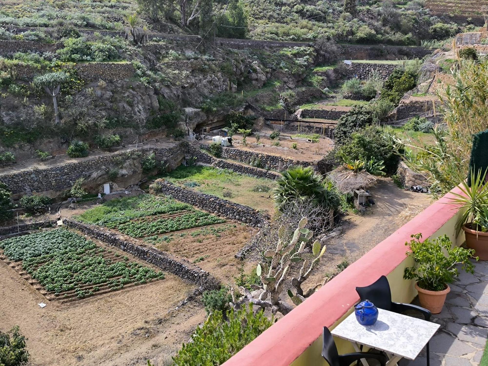 Hotel Rural La Raya 1866 Güimar Zewnętrze zdjęcie